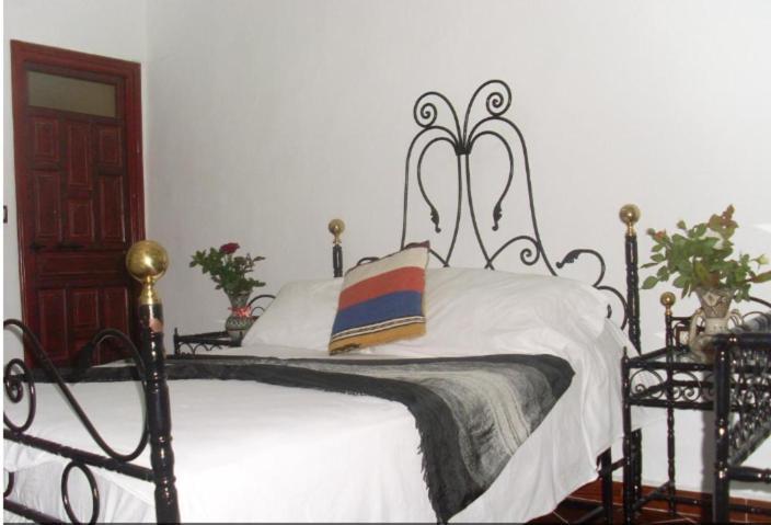 Hostel The Atlas Lion Tanca Dış mekan fotoğraf